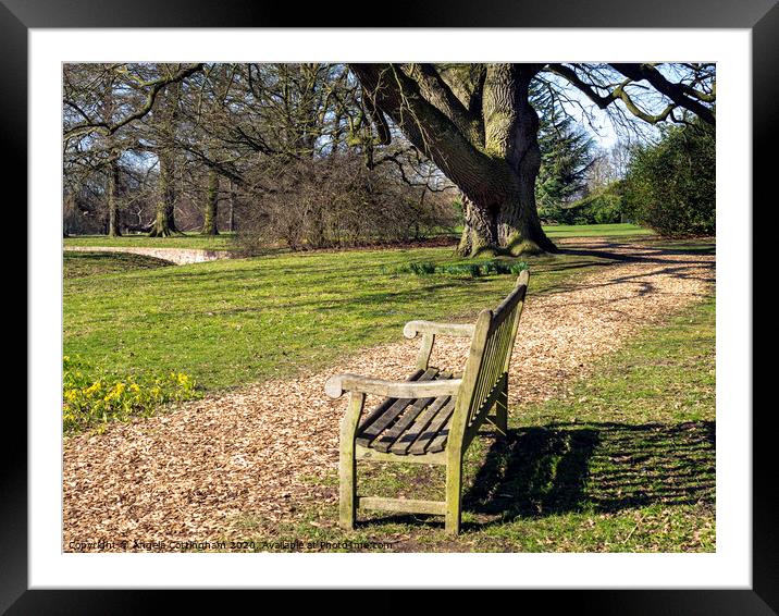 Park Bench Framed Mounted Print by Angela Cottingham