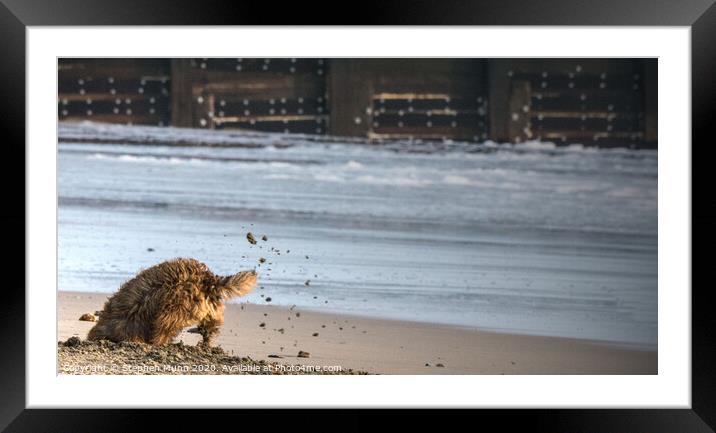 Let me out of this photo! Framed Mounted Print by Stephen Munn