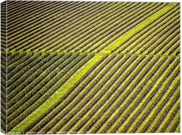 Crops lines taken from Ham Hill Country Park, Near yeovil Canvas Print by Stephen Munn
