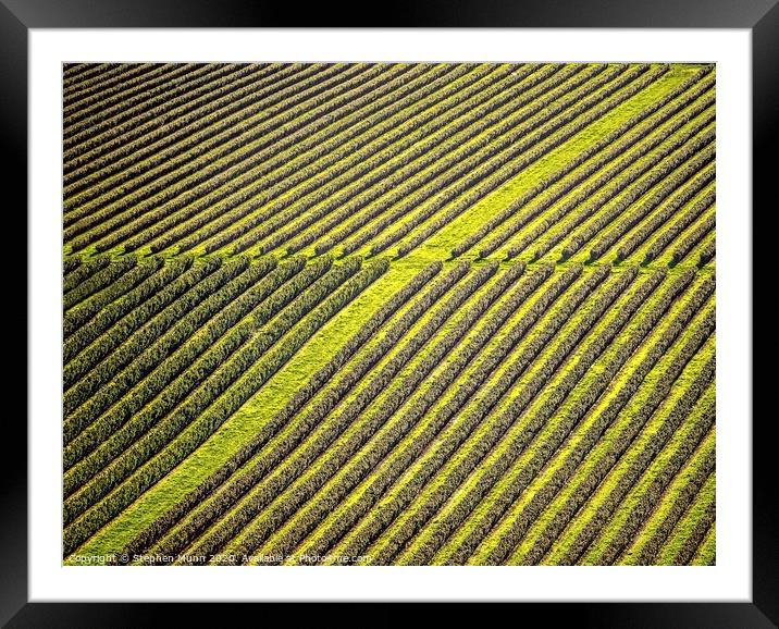 Crops lines taken from Ham Hill Country Park, Near yeovil Framed Mounted Print by Stephen Munn