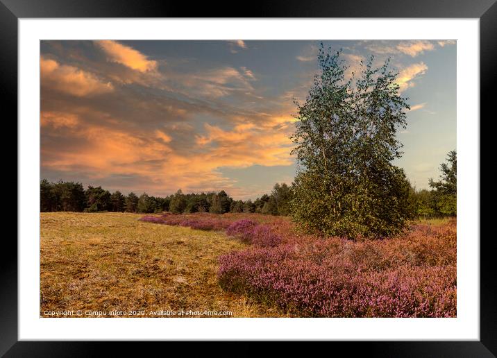 the nature reserve Maasduinen with single tree Framed Mounted Print by Chris Willemsen