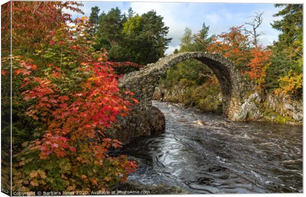 Carrbridge  in Autumn Cairngorms NP  Scotland Canvas Print by Barbara Jones