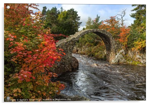 Carrbridge  in Autumn Cairngorms NP  Scotland Acrylic by Barbara Jones