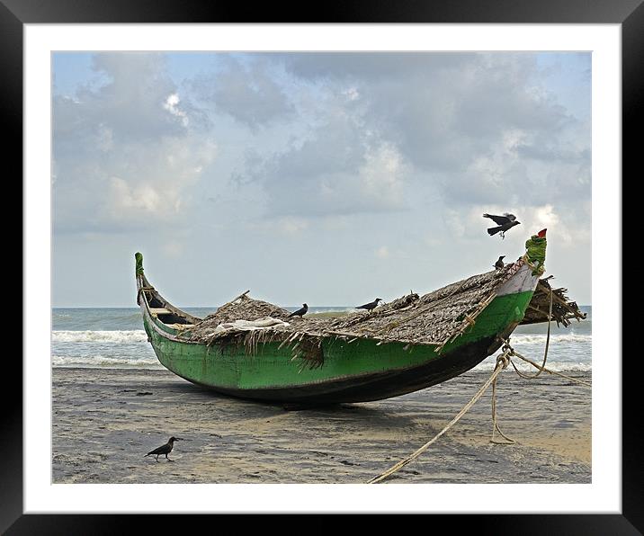 crows on boat Framed Mounted Print by Hassan Najmy