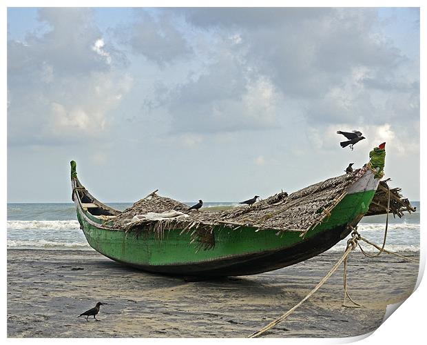 crows on boat Print by Hassan Najmy