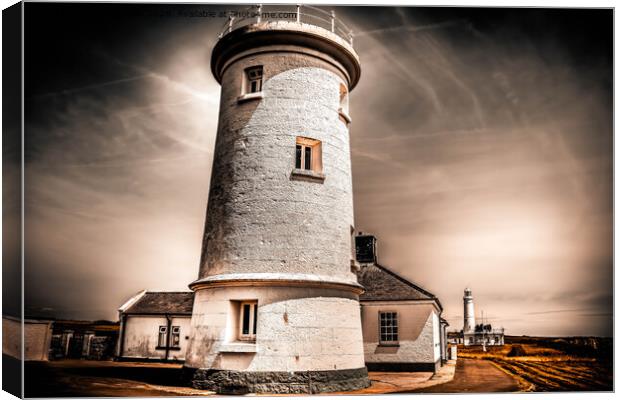 Nash Point Lighthouse Canvas Print by Lee Kershaw