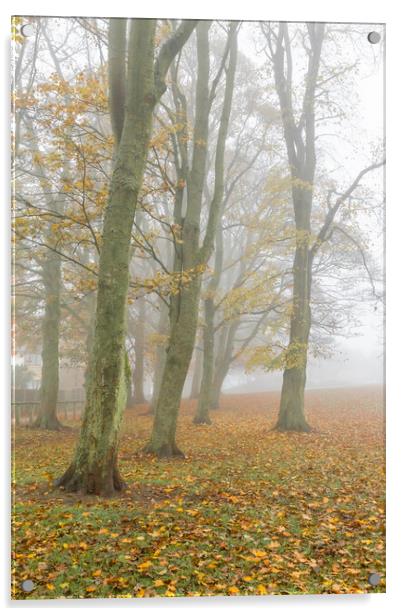Autumn trees in the mist.  Acrylic by Ros Crosland