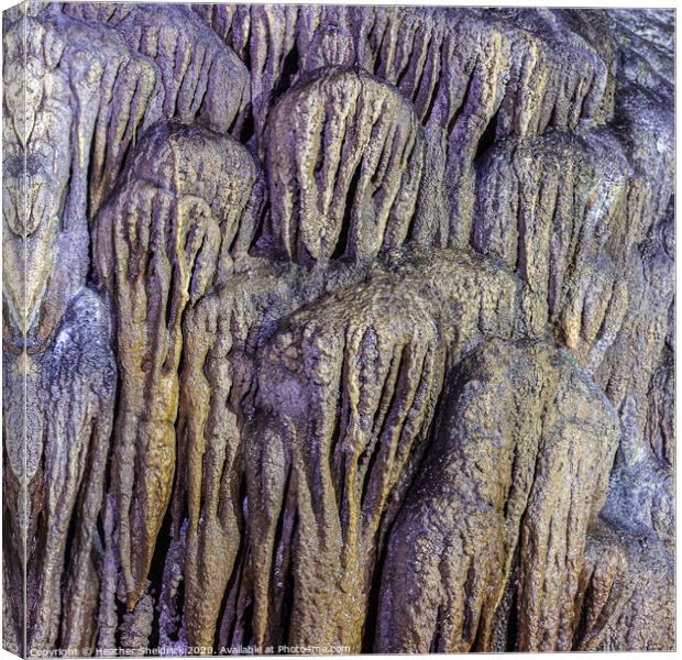 Limestone mineral deposits in Ingleborough Cave Canvas Print by Heather Sheldrick