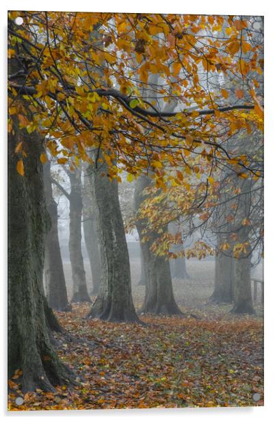 Misty autumn morning.  Acrylic by Ros Crosland