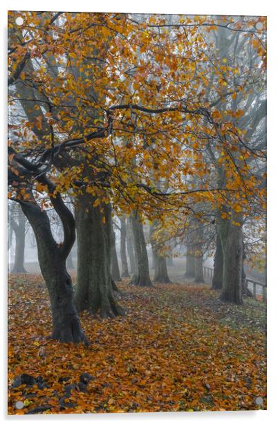Autumn trees in the mist.  Acrylic by Ros Crosland