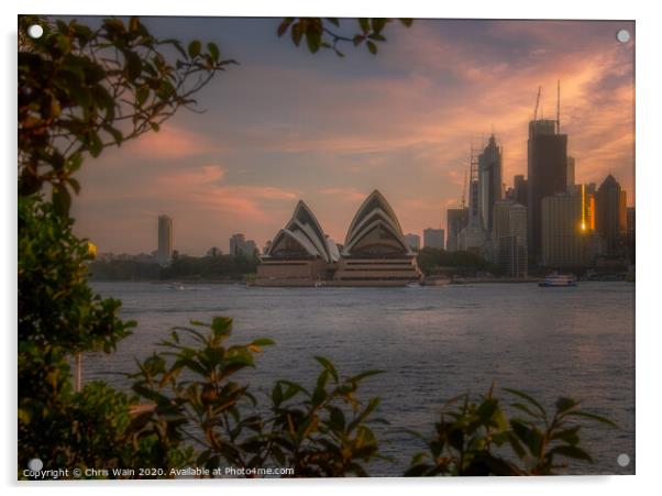 The Sydney Opera House Acrylic by Black Key Photography