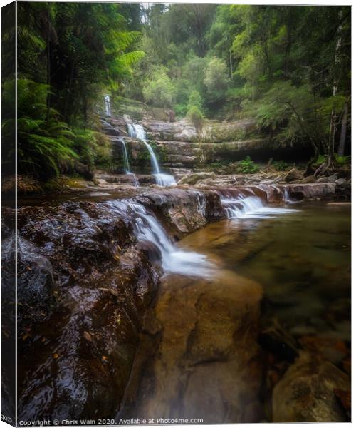Liffey Falls, Tasmania Canvas Print by Black Key Photography