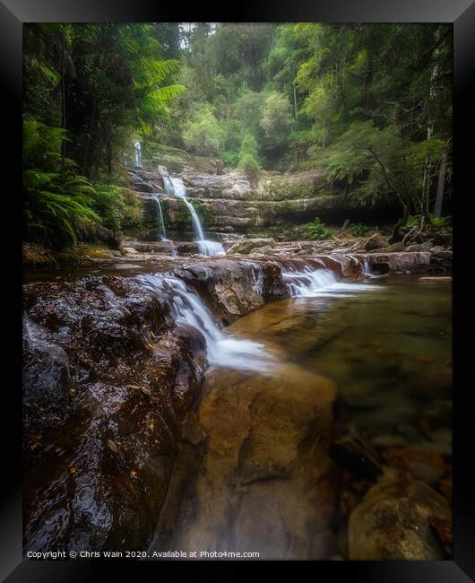 Liffey Falls, Tasmania Framed Print by Black Key Photography