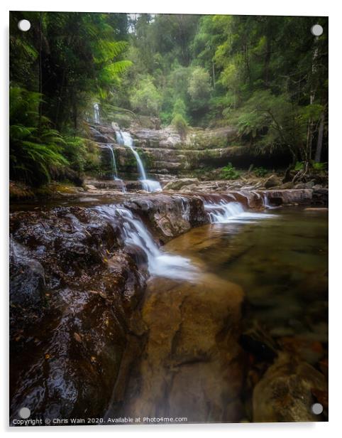 Liffey Falls, Tasmania Acrylic by Black Key Photography