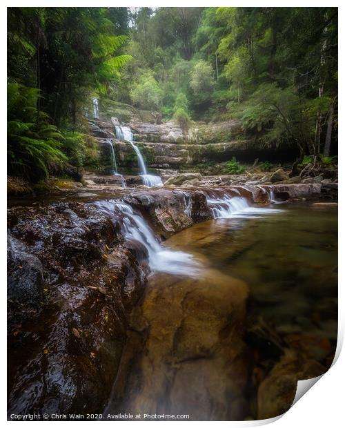 Liffey Falls, Tasmania Print by Black Key Photography