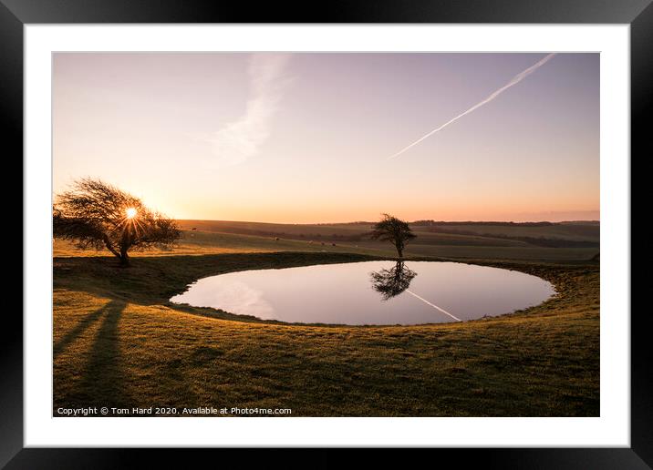 Sunrise at the watering hole Framed Mounted Print by Tom Hard