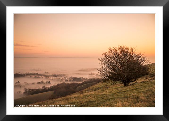 Misty Morning in Sussex Framed Mounted Print by Tom Hard