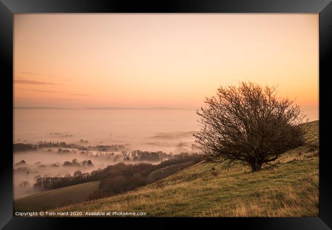 Misty Morning in Sussex Framed Print by Tom Hard