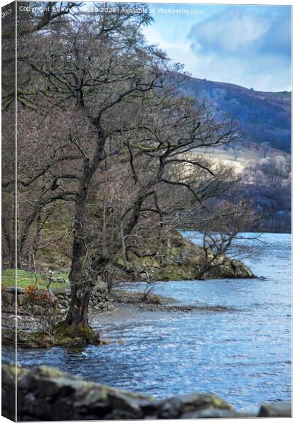 Trees on edge of Ullswater Canvas Print by Kevin White