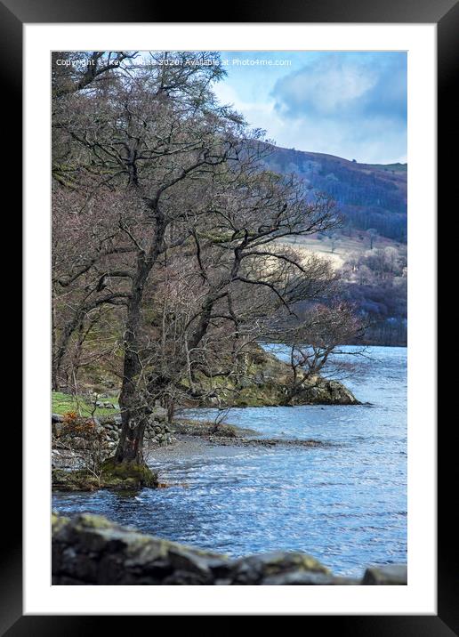 Trees on edge of Ullswater Framed Mounted Print by Kevin White