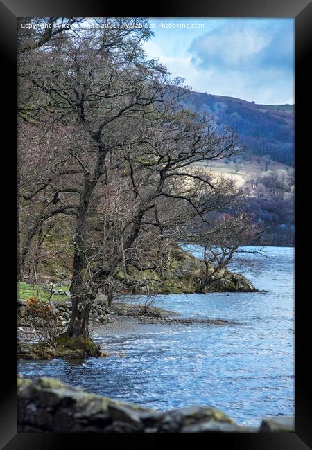Trees on edge of Ullswater Framed Print by Kevin White