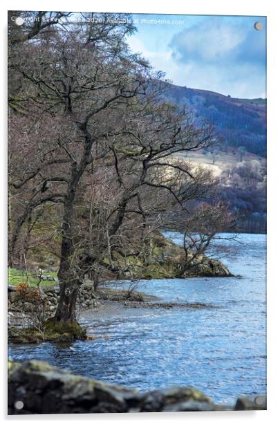Trees on edge of Ullswater Acrylic by Kevin White