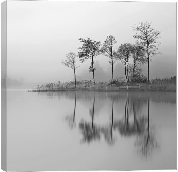 Fine Trees from the misty shore of Loch Ard Canvas Print by Grant Glendinning