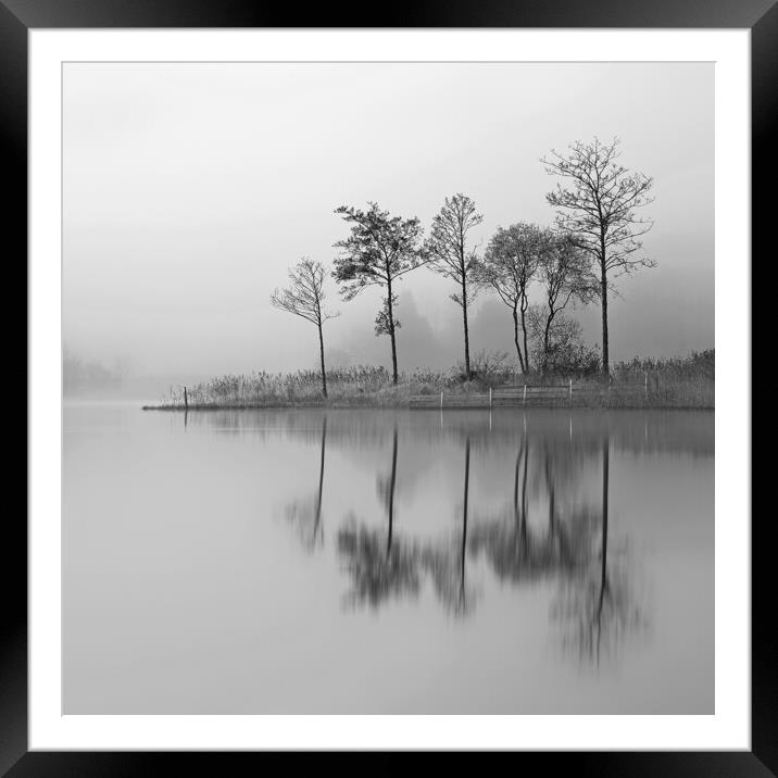 Fine Trees from the misty shore of Loch Ard Framed Mounted Print by Grant Glendinning