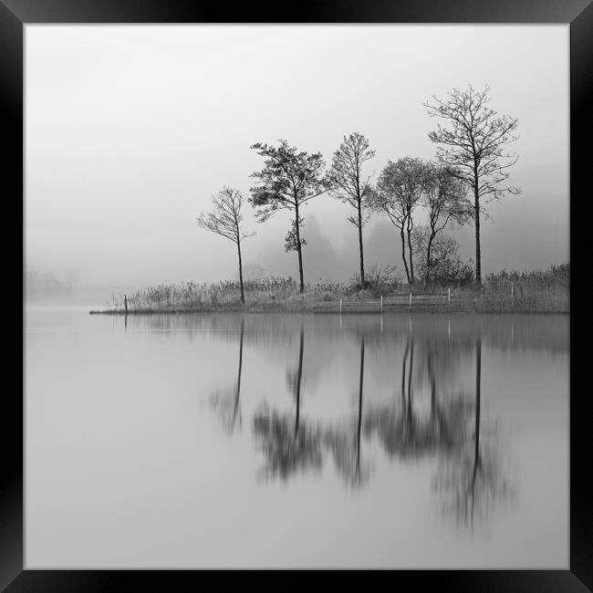 Fine Trees from the misty shore of Loch Ard Framed Print by Grant Glendinning