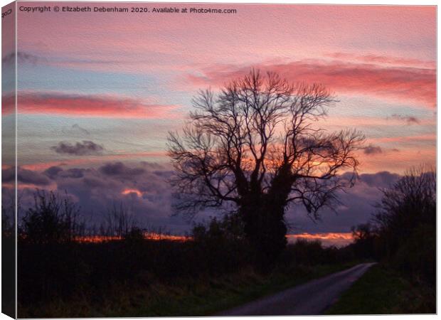 Pink and grey sunset in Lincolnshire Canvas Print by Elizabeth Debenham