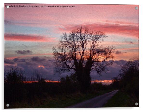 Pink and grey sunset in Lincolnshire Acrylic by Elizabeth Debenham