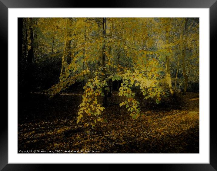 Natures Gold of Eastham Woods Framed Mounted Print by Photography by Sharon Long 