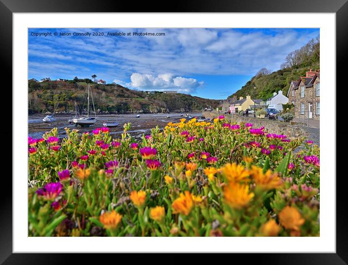 Fishguard Flowers. Framed Mounted Print by Jason Connolly