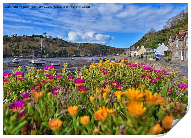 Fishguard Flowers. Print by Jason Connolly