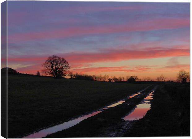 Puddles Canvas Print by Steve Adams