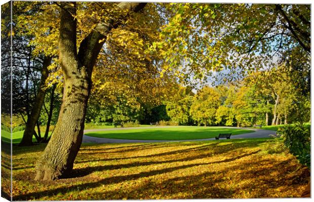 Locke Park in Autumn Canvas Print by Darren Galpin