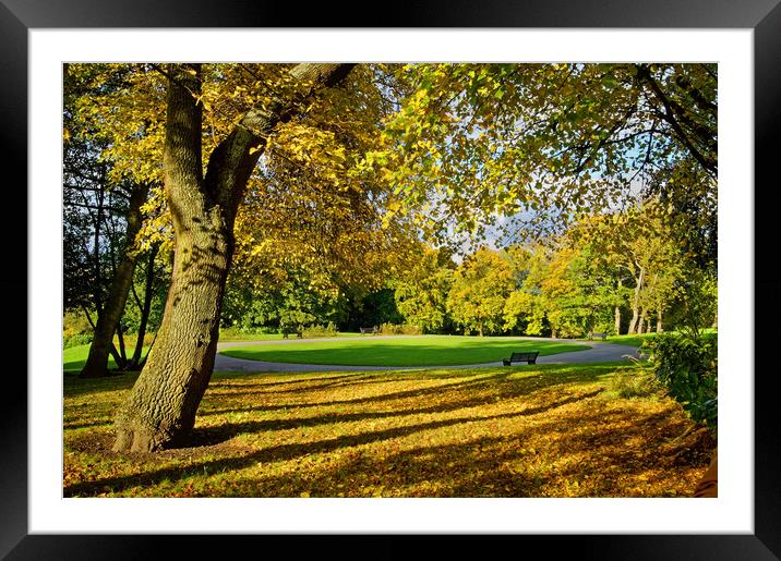 Locke Park in Autumn Framed Mounted Print by Darren Galpin