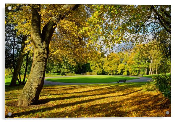 Locke Park in Autumn Acrylic by Darren Galpin
