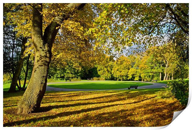 Locke Park in Autumn Print by Darren Galpin