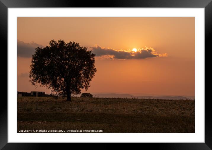 Sunset calm Framed Mounted Print by Marketa Zvelebil