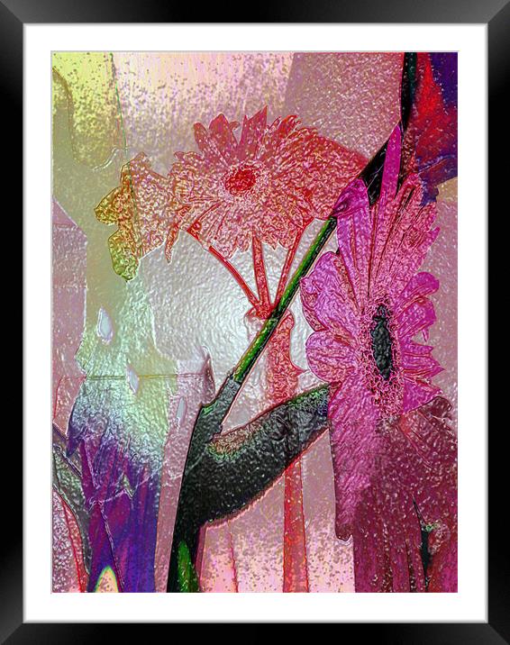 petals Framed Mounted Print by joseph finlow canvas and prints