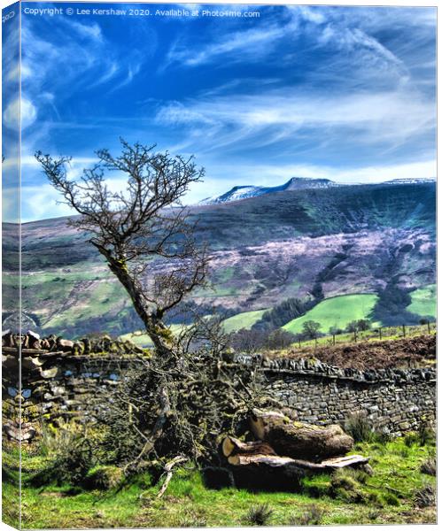 A View of the Brecon Beacons Canvas Print by Lee Kershaw