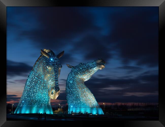 The Kelpies, Illuminated in blue at night. Framed Print by Tommy Dickson