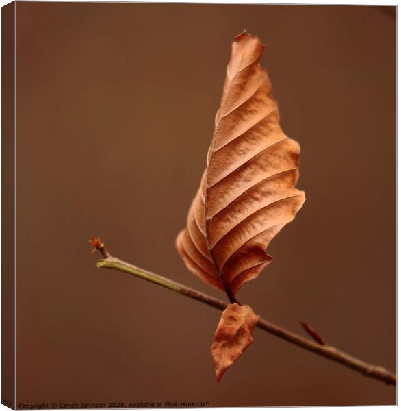 Last leaf standing Canvas Print by Simon Johnson