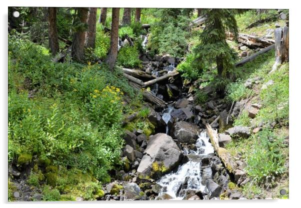 Colorado Hidden Waterfall Acrylic by JUDY LACEFIELD