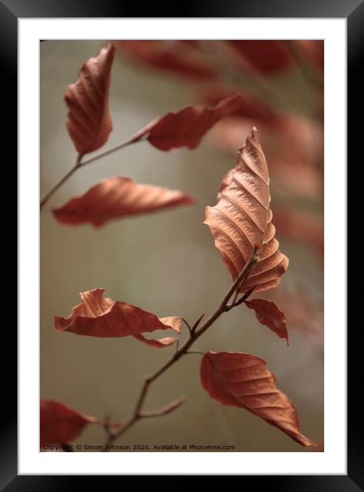 Beech Leaves Framed Mounted Print by Simon Johnson