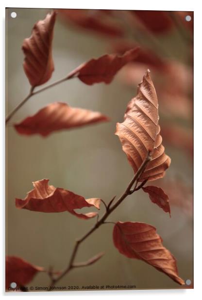 Beech Leaves Acrylic by Simon Johnson