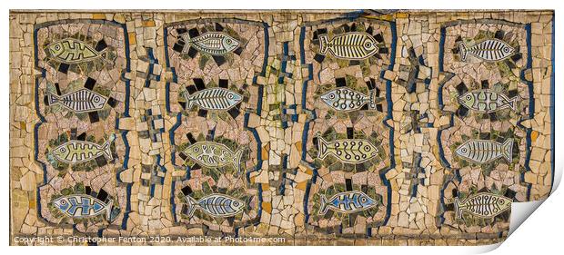 Alan Boyson "Fishies" image Print by Christopher Fenton