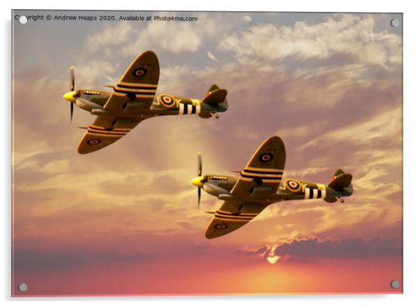 Spitfire planes historic Acrylic by Andrew Heaps
