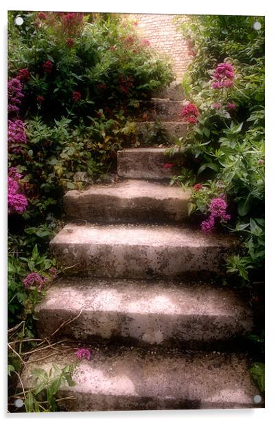 Steps Acrylic by Ann Garrett